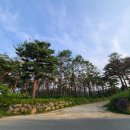 낙산화이트홈펜션 이미지