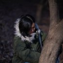 고양이동산 이미지