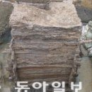중부-현장-중부-475 이미지