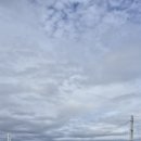 강변유원지길 이미지