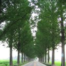 골든리버모텔 이미지