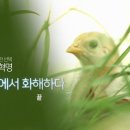 화해농장 이미지