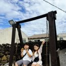 하도탐나 이미지