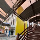 미포초등학교 | 일상 제출합니다