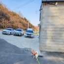 성곡동 765-11~성곡동 666 주변 | [대구] 애견카페 666도그플레이(666_dogplay) ::: 달성군 가창 상원리 산 중턱 반려견들의 성지! 천연...