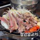 울산 삼산동 양고기 맛있는 곳 청년양고기 재방문 후기