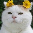 할매횟집 이미지