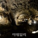 고라데이민박 이미지