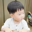 롯데마트천천점디어베이비 | 유아상하복 디어베이비 문센룩으로 좋아요