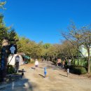 나무고아원입구 이미지