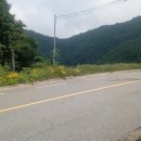 용화양강로 이미지