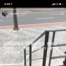 프리티 도그 이미지