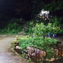 주주산방민박 네이버블로그