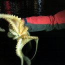 오떼오피자 이미지