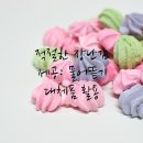 구로동물병원
