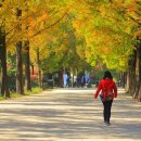 담양청솔 이미지