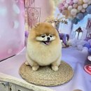 릴리줄리살롱 이미지