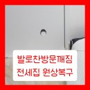 우리집 강아지 | 발로찬방문깨짐 전세집 원상복구 후기