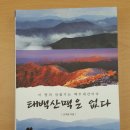 부활사 | (2016-11권) 태백산맥은 없다