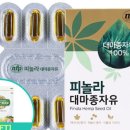 비티비엘 이미지