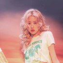 로제헤어 이미지