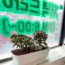 [홍대/서울] 자연스러운 스타일변신 거지존 탈출 후기, 홍대붙임머리 비에이블헤어