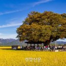 영암월출 마을관리 사회적협동조합 이미지