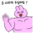 여우애김밥부산 이미지