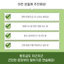 여행영어 초급 네이버블로그
