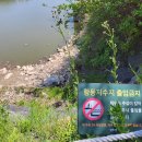 시립구로도서관 | 서울 주말 나들이 명소, 푸른수목원 &amp; 항동저수지 완벽 가이드! (입장료, 주차, 도서관 정보)