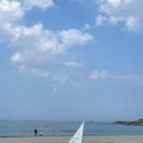 노랑통닭 용화점 | 강원도 삼척 용화해수욕장 야영장 후기 스노쿨링·바다수영까지 즐긴 1박2일 캠핑