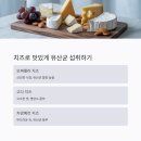 장에 좋은 유산균 음식 5가지 - 장건강 지키는 비결