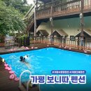 CU 역삼푸른점 | 가평 보니따 애견동반 펜션 내돈내산 단체 사피아룸 가성비 숙소 후기