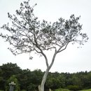 예산-09 이미지