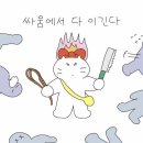 맥스웰의원 | 본격적인 탈모치료 / 맥스웰의원 탈모병원 후기 / 맥스웰의원 가격