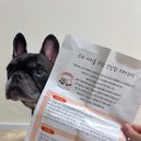 협동조합리워크 | 대한견식 강아지연어간식 급여 후기
