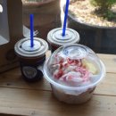 다온 펫 살롱 이미지