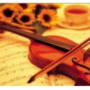 양재(기초) 이미지