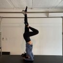 제니필라테스 이미지