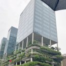 콜렉션 | 싱가폴 파크로얄 콜렉션 피커링 숙박 후기 | 트래블로카 할인코드