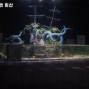 2749 | 아쿠아가든 일산 일산 맛집 추천 쉬는날 주차 안내