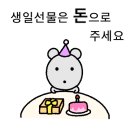 돈찌