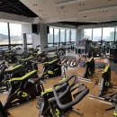 와우사우나 이미지