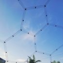 알로하오에 이미지