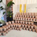 정암초교병설유치원 이미지