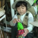 금모래어린이집 이미지