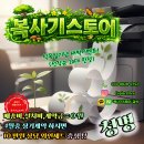 24시복사기렌탈스토어복합기프린터임대