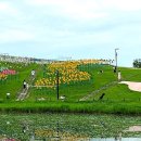 버마아웅산 순국외교 | 파주, 분단의 현장 임진각 평화누리공원을 가다