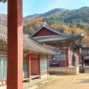 낙산어전 | 학의 그리움이 길기도 하다