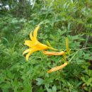 곡성-268 이미지